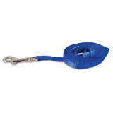 The Petmate Nylon Standard Core Dog Lead, a blue coiled leash by Petmate, features durable hardware and a metal clip.