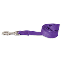 The Petmate Nylon Standard Core Dog Lead is a rolled-up, purple leash made from durable nylon fabric with reinforced stitching near the metal clasp, making it an ideal training aid for your pet.