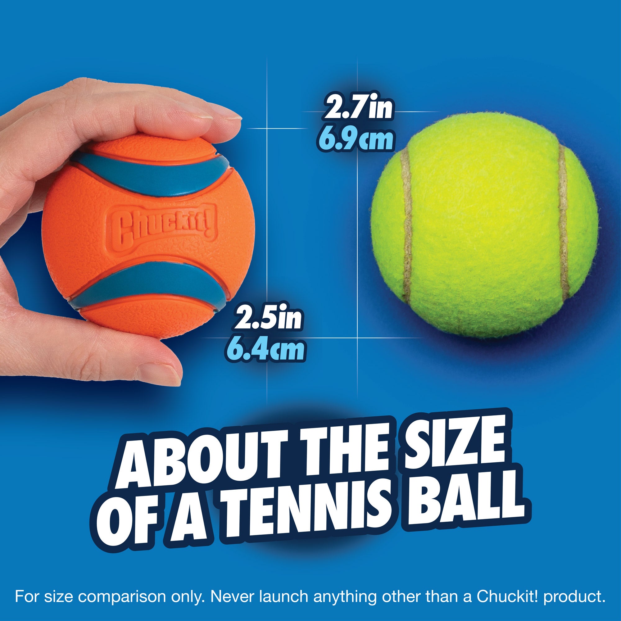 A hand holds a Chuckit! Ultra Ball Dog Toy, an orange sphere with blue stripes, and 2.5 inches (6.4 cm) in diameter, known for its high bounce and durability. Beside it is a yellow-green tennis ball labeled 2.7 inches (6.9 cm). Text reads About the size of a tennis ball over a blue gradient background.