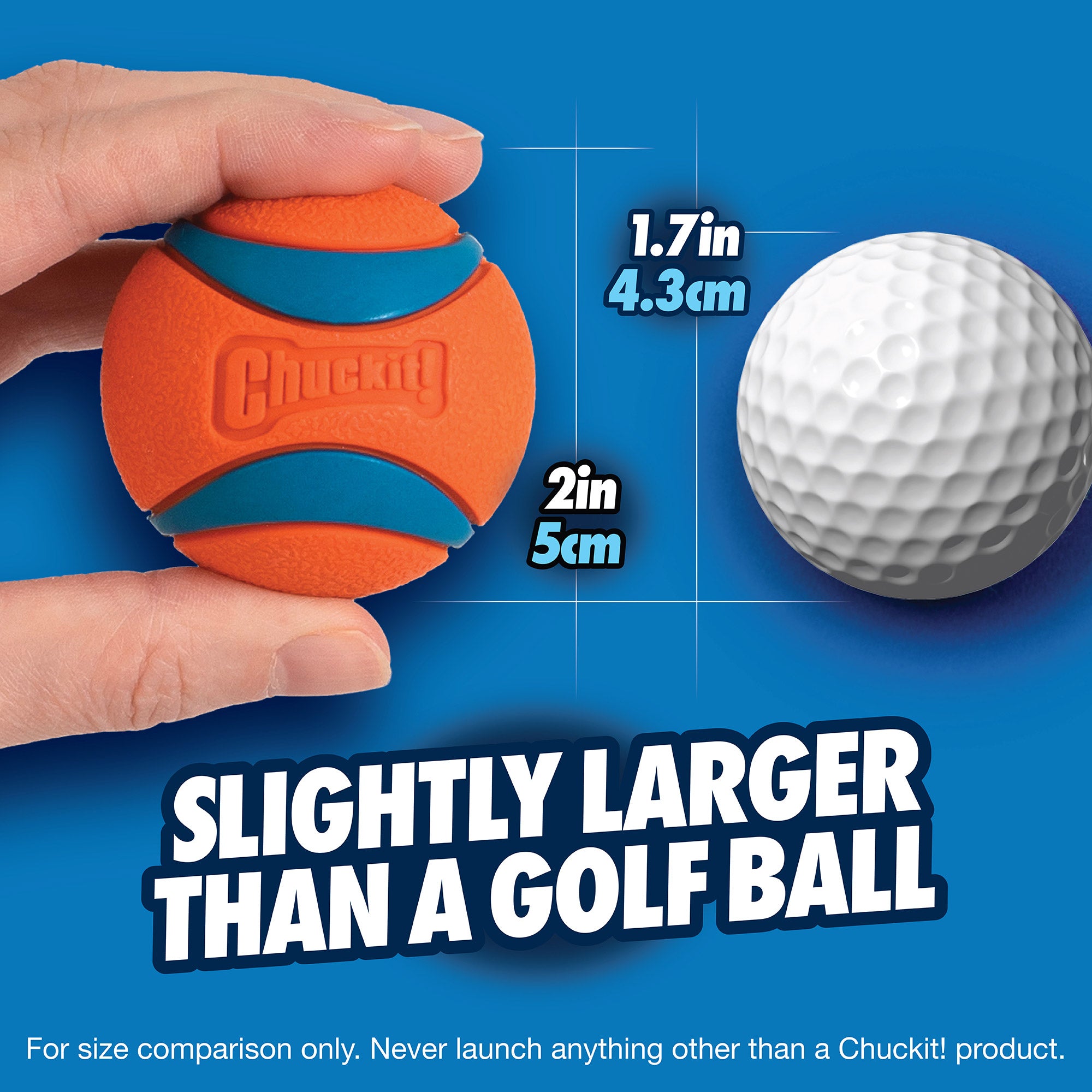 A hand holds an orange Chuckit! Ultra Ball Dog Toy, renowned for high bounce and durability, next to a 1.7-inch (4.3 cm) golf ball. The Ultra Ball measures 2 inches (5 cm). Blue background reads: Slightly larger than a golf ball.