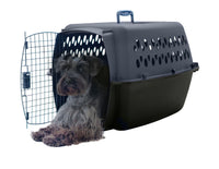 A small dog with gray and brown fur lies inside an Aspen Pet Petmate All Purpose Kennels-Pet Porter carrier, its head and front paws out the open metal door. The airline-approved kennel sits against a white background.