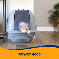 A white cat lounges inside the Arm & Hammer Hooded Wave Litter Box, peeking through the flap. This gray box, from Arm And Hammer, provides superior odor control and rests on a wooden floor beside a white wall and potted plant. Bold text reads, PRIVACY HOOD.