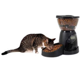 A gray tabby cat eats from an Aspen Pet Lebistro Programmable Food Dispenser filled with kibble. The Aspen Pet feeder features a transparent container showing extra kibble and a digital control panel on the front for portion control, against a white background.