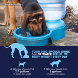 A dog drinks from the Petmate Big Blue Bowl, a large outdoor hydration solution. Guide: 2.7 gallons/week for a 50 lb dog and 5 gallons for a 90 lb dog, ensuring proper hydration.