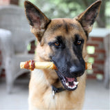 A German Shepherd relaxes on a porch with wicker chairs, set against a rustic brick wall, proudly holding a Wild Eats® Twisted Cheek Wrapped With Meat dog treat in its mouth.