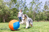 A fluffy dog with white, grey, and black fur plays with the Chuckit! Big Air Fetch & Herding Ball Dog Toy by Chuckit on green grass, while a person in sunglasses and casual clothes watches nearby. Trees and blue sky are visible.