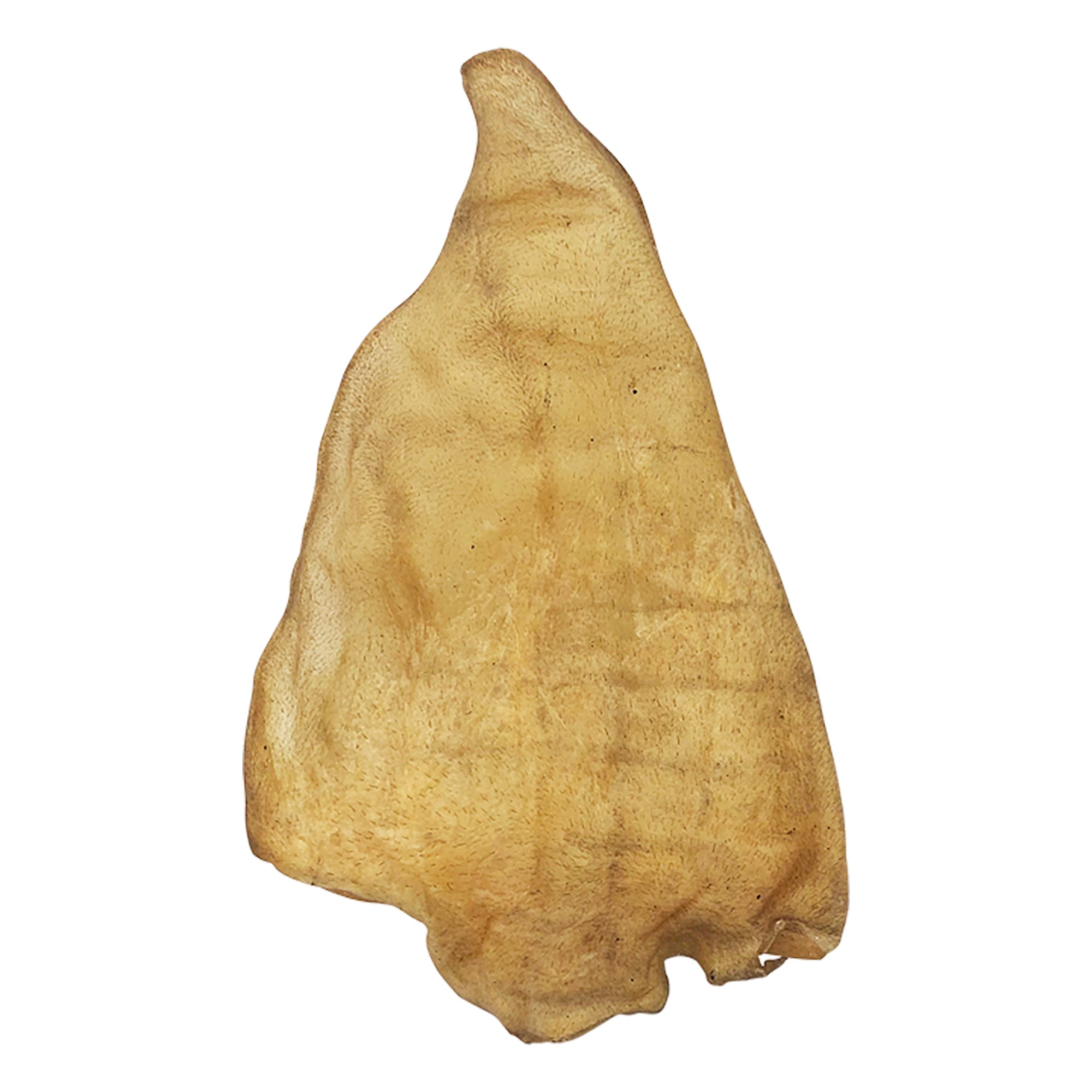 The Wild Eats Natural Water Buffalo Ear by Wild Eats is a natural dog chew with a pointed tip and rough texture. Its light brown, slightly translucent against a white background, and provides an excellent single-source protein option for your pet.