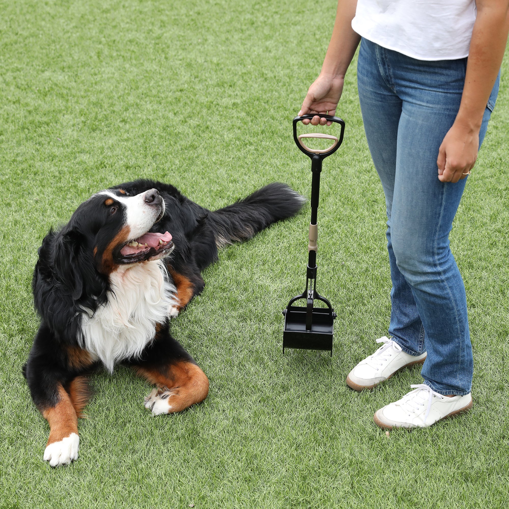 A person wearing jeans and white sneakers holds an Arm & Hammer Claw Poop Scooper with an extending handle while standing on grass. A large, fluffy dog with a mostly black coat, white chest, and brown markings lies on the grass, looking up at them.