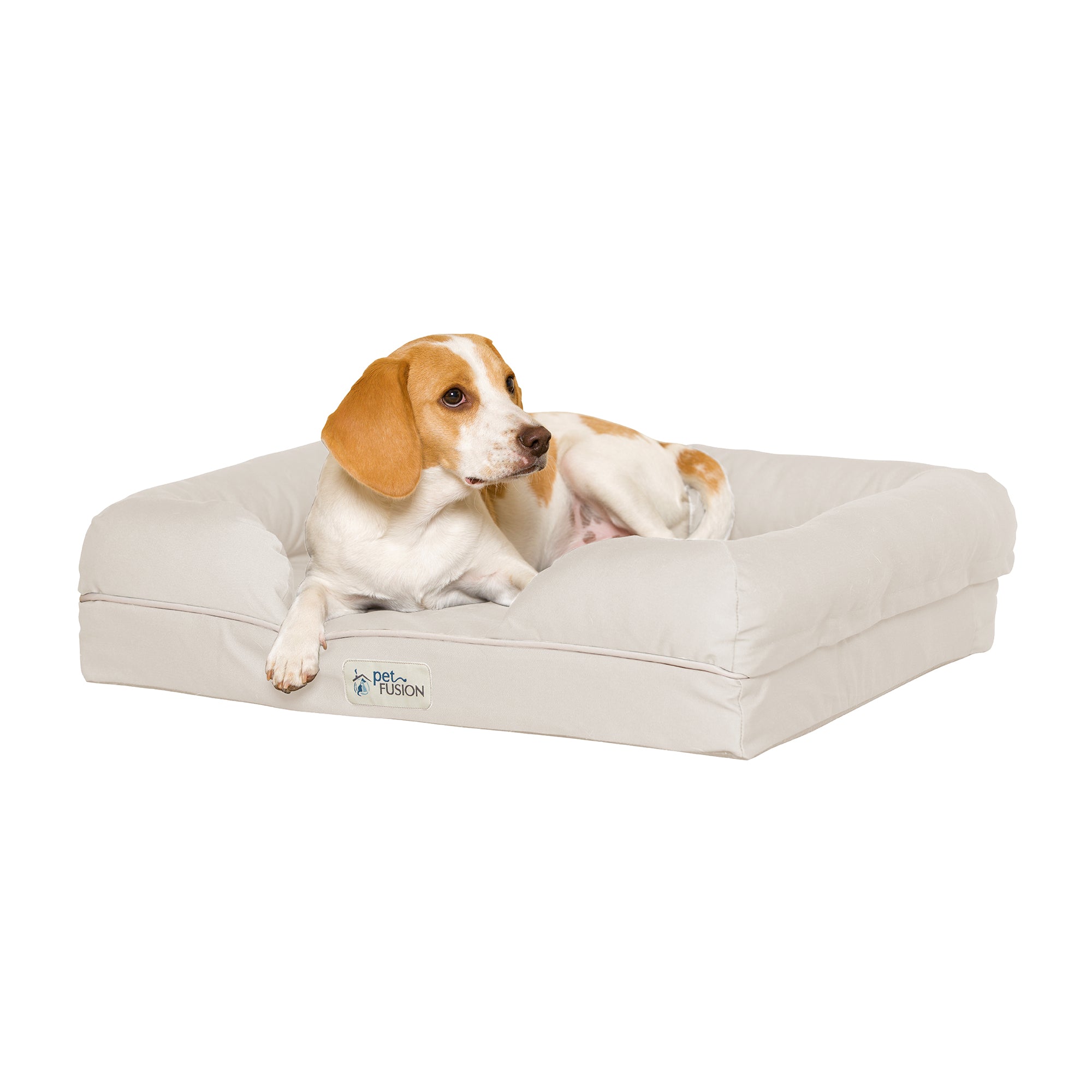 A brown and white dog rests on a PetFusion Ultimate Dog Bed With Memory Foam, featuring raised sides for joint pain relief, set against a plain white background.
