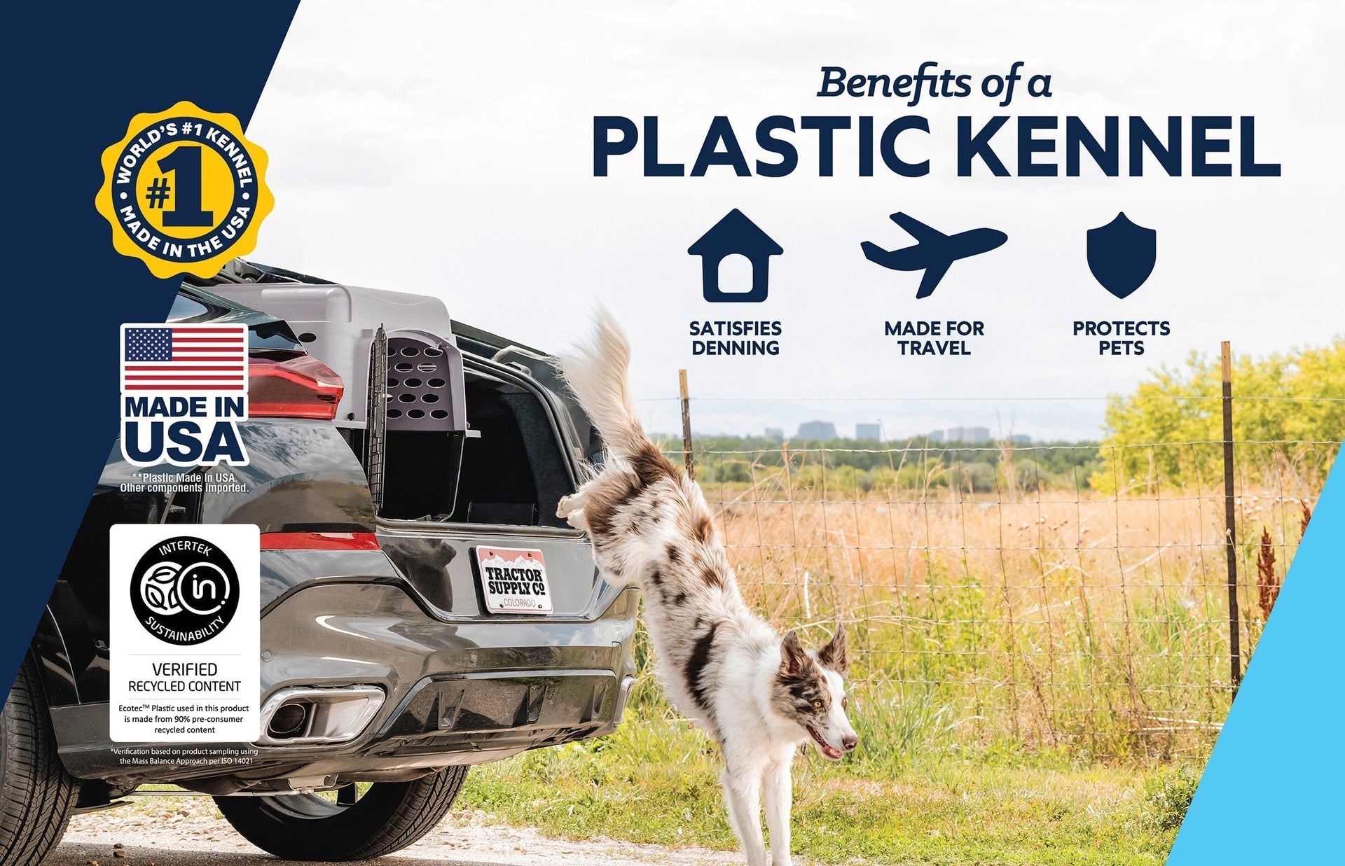 How To Travel With Pets in Winter