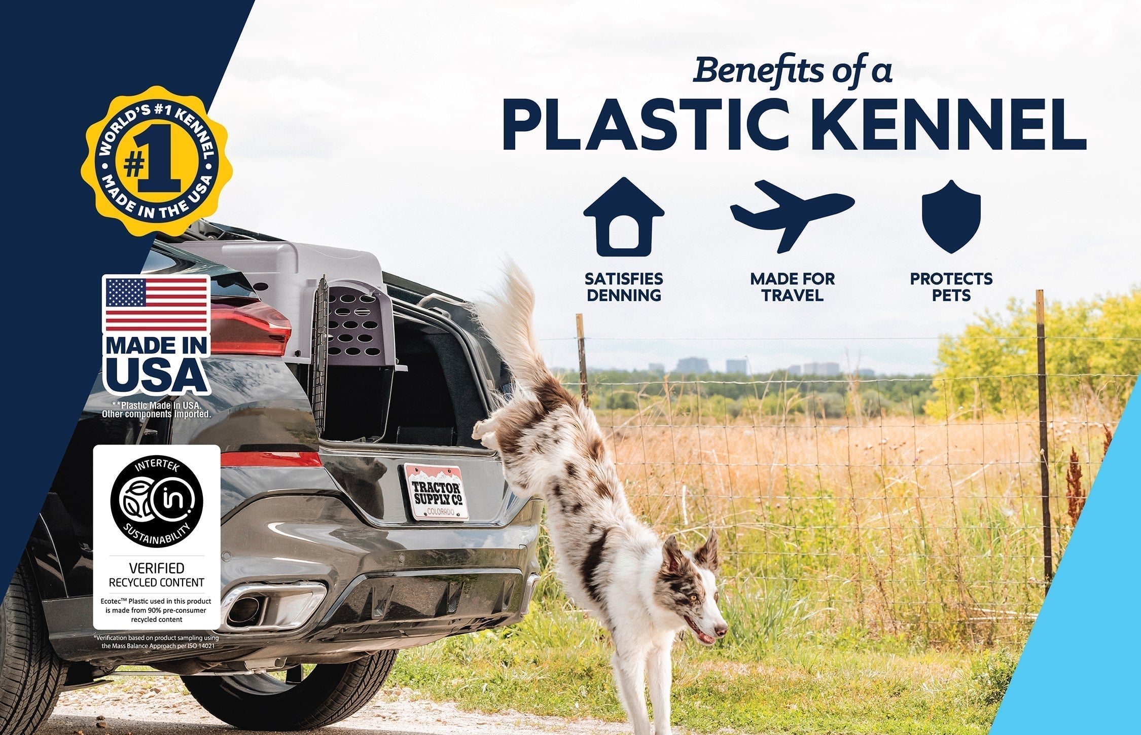 How To Travel With Pets in Winter