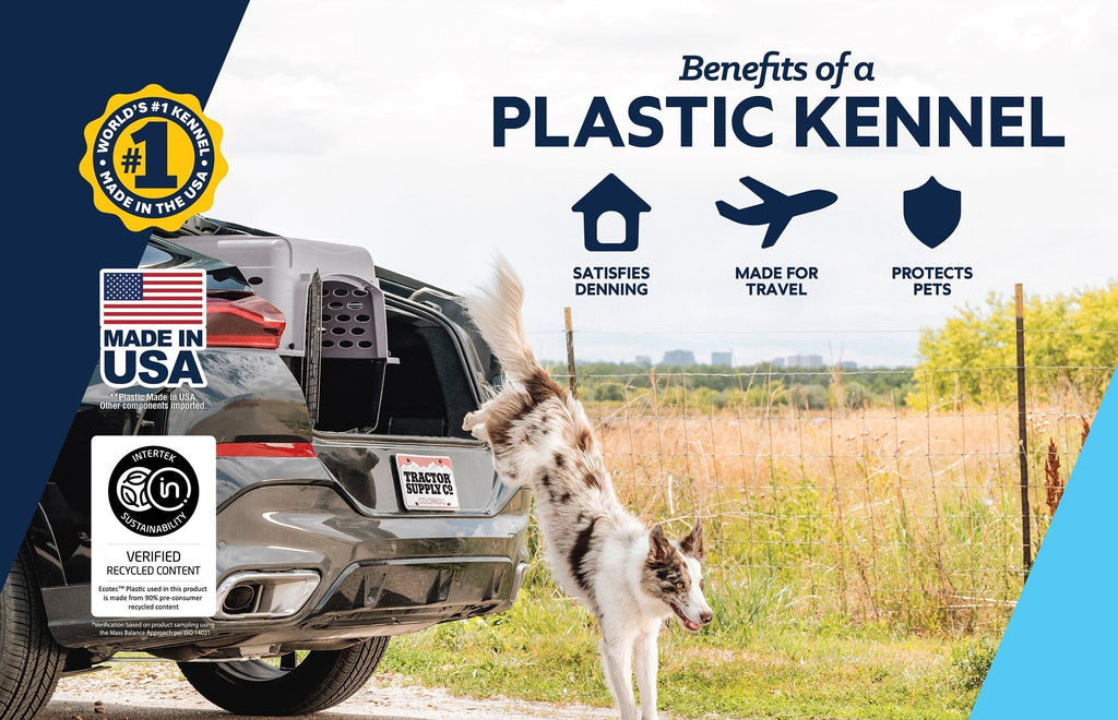 How To Travel With Pets in Winter