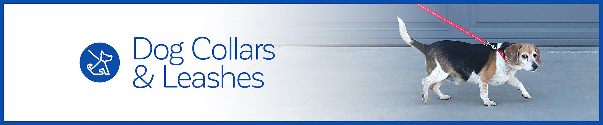 Collars And Leashes For Dogs