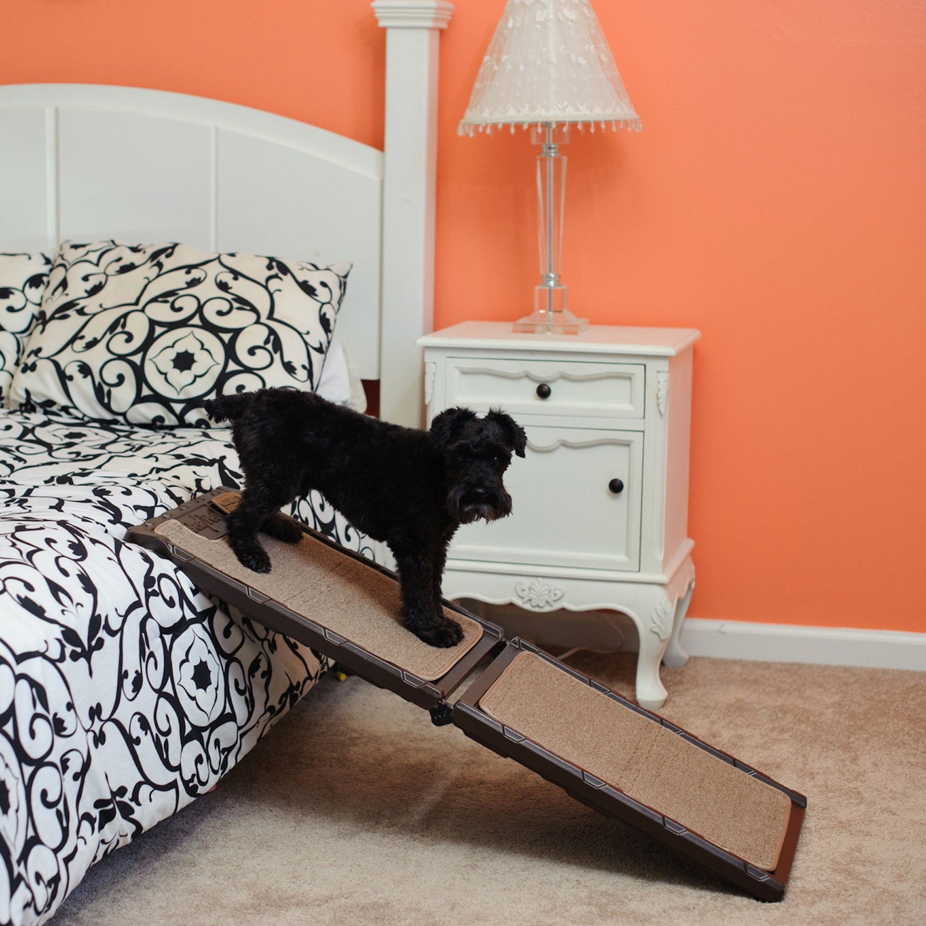 A small black dog stands on a Gen7Pets Indoor Carpet Mini Ramp leading to a bed with a black and white patterned bedspread. The room has a white nightstand with a lamp and an orange wall.