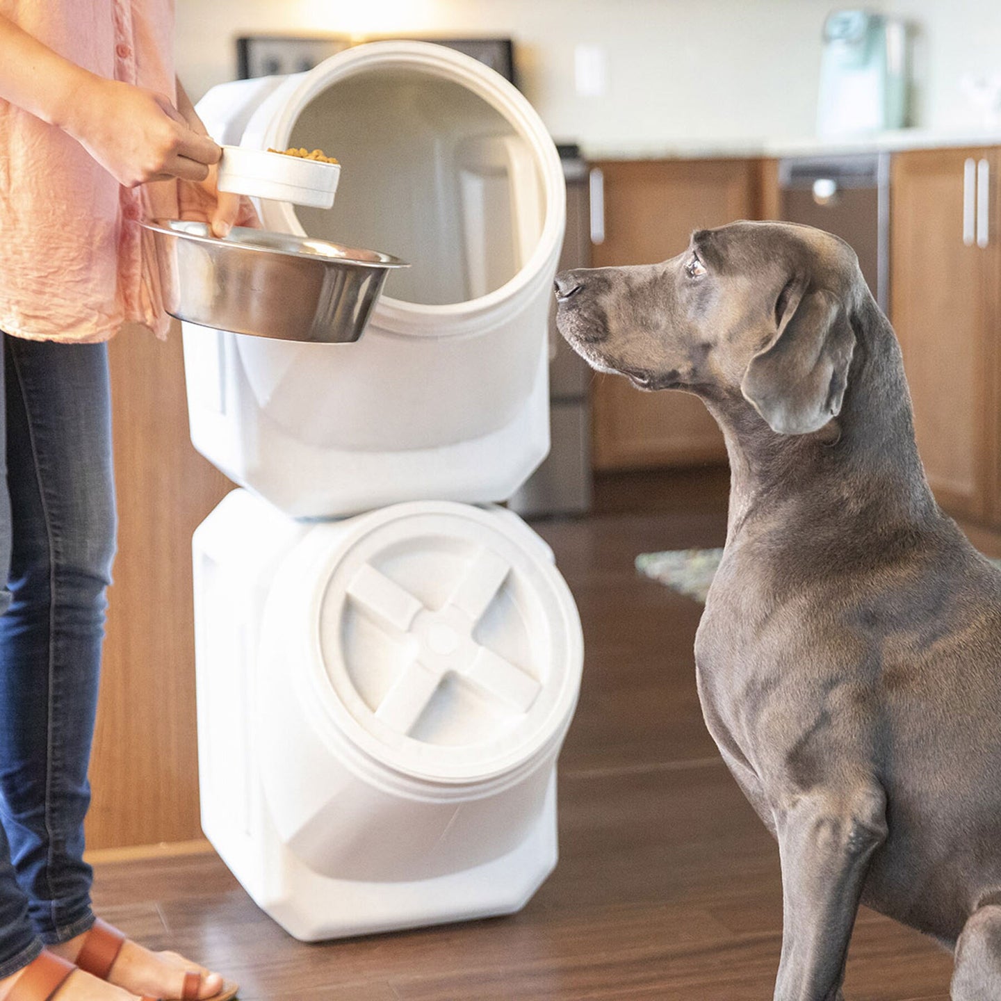 A person scoops dog food from a white Vittles Vault Outback Stackable Pet Food Storage Container into a bowl as a large gray dog sits attentively on the wooden floor, looking up. Kitchen cabinets and counters serve as the backdrop.