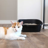 A white and orange cat lies on a wooden floor near a black Arm & Hammer SimplyRecycled Wave Litter Box filled with sand. White walls surround the room, and part of a table leg is visible.