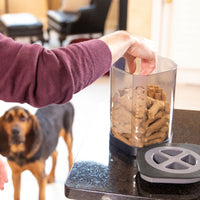 Someone in a maroon sweater reaches into an open, transparent Vittles Vault Little Vittles Storage Container filled with dog biscuits on a black countertop. A brown and black dog stands in the background, eyeing the container eagerly.