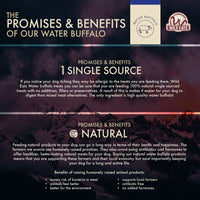 Infographic titled The Promises & Benefits of Our Water Buffalo features Wild Eats® Twisted Cheek Wrapped With Meat, highlighting benefits like 1 Single Source, Natural, premium dog treats including water buffalo jerky, lower bacteria risk, hormone-free products, and local farmer support.