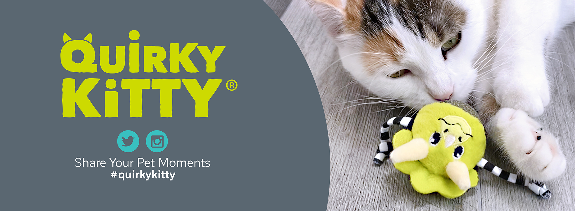 Quirky Kitty Cat Toys