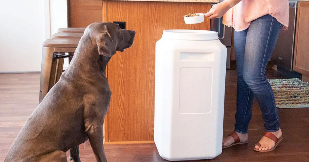 A large brown dog sits in a kitchen waiting for his owner to feed him dinner from a large Vittles Vault food storage container. 